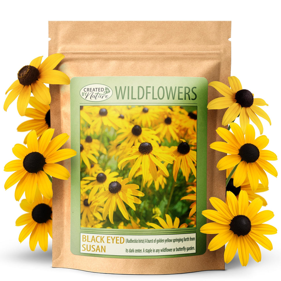 Created By Nature Black-Eyed Susan seeds packet for spring planting in sunny borders.