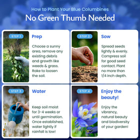 Created By Nature blue columbine pollinators image highlights bees and butterflies attracted