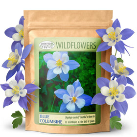Created By Nature blue columbine seeds 2400 pack ready to energize pollinator-friendly borders
