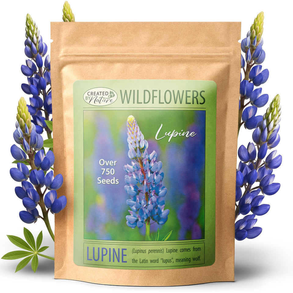 Created By Nature blue lupine seeds packet ready for spring planting to brighten borders.