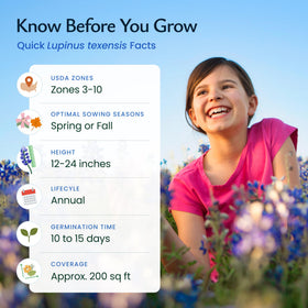 Created By Nature bluebonnets attract bees and butterflies, boosting garden biodiversity.