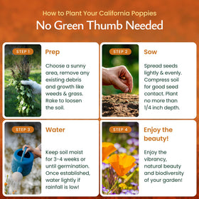 Created By Nature California Poppy Seeds are deer-resistant and beginner-friendly.