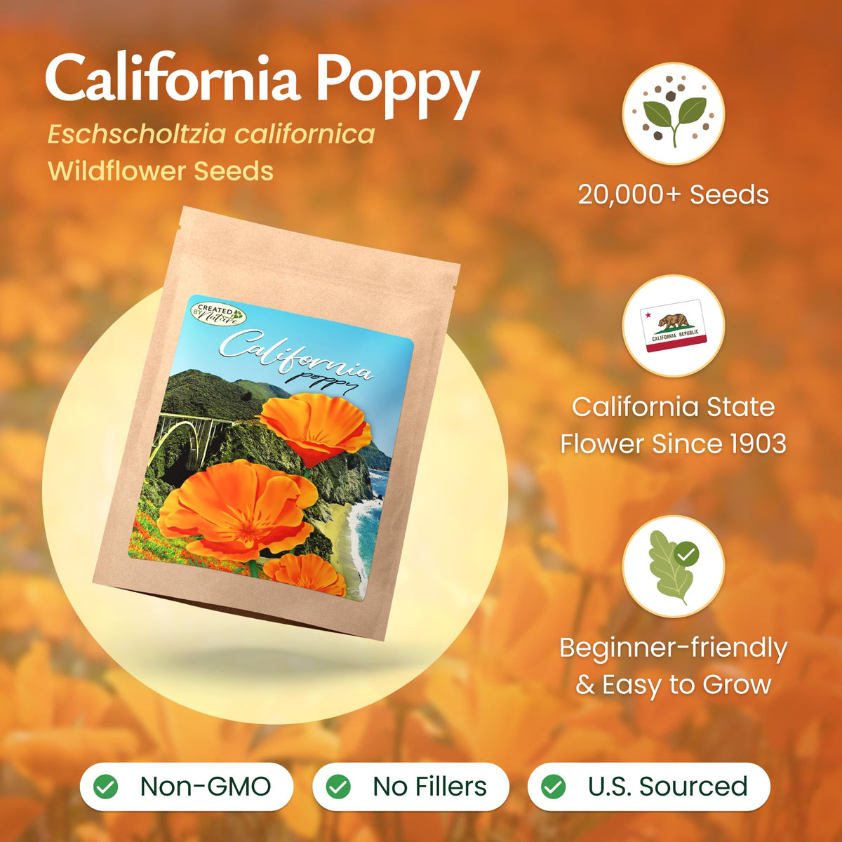Created By Nature California Poppy Seeds germination shown in about 20 days in sunny patches.