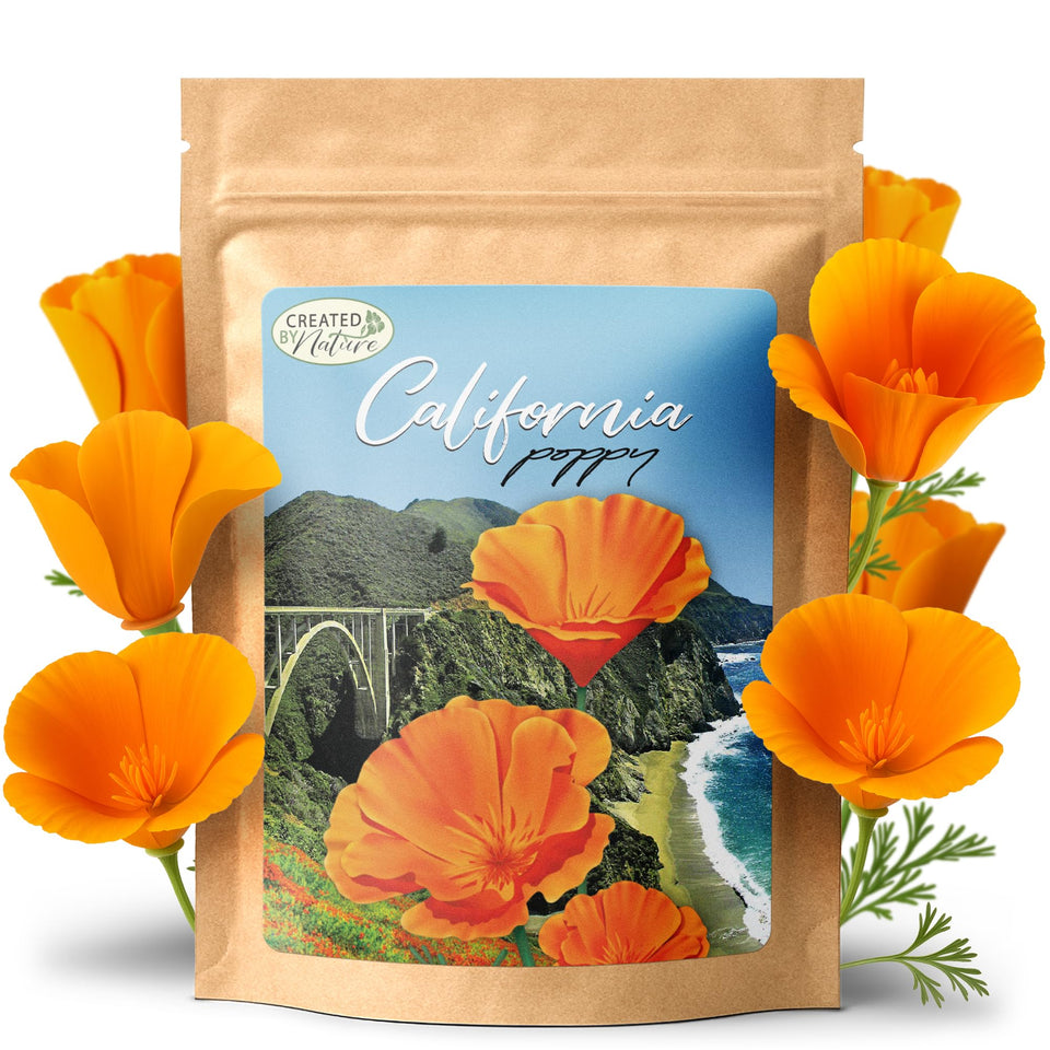 Created By Nature California Poppy Seeds pack ready to plant for bright, drought-tolerant blooms.