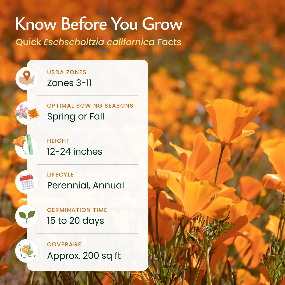Created By Nature California Poppy Seeds attract bees, butterflies, and hummingbirds.