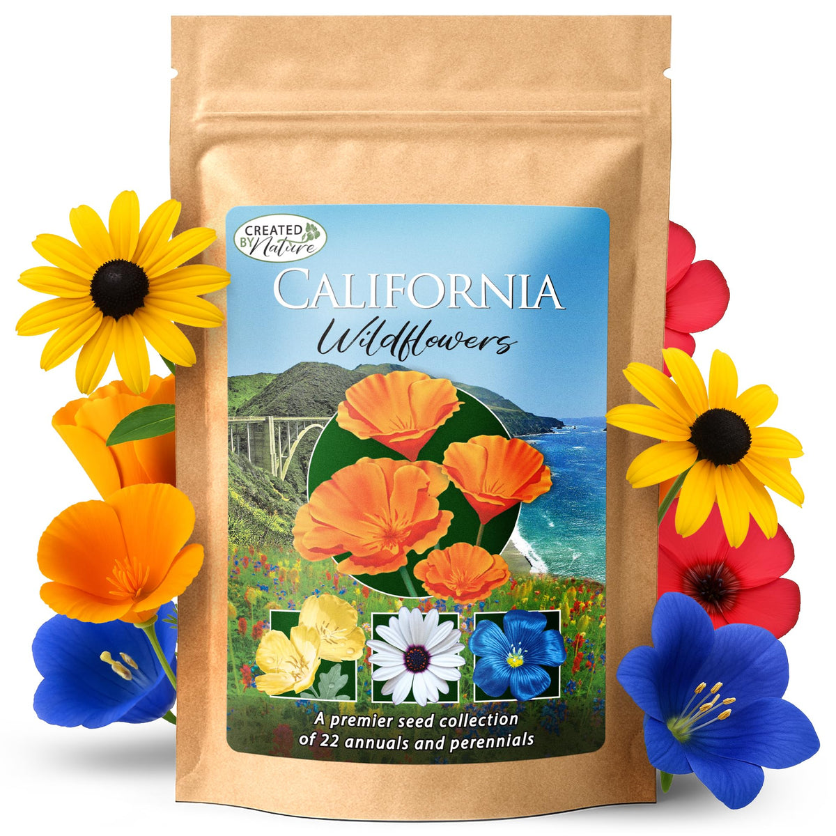 Created By Nature California Wildflower Seed Mix 22 varieties in a colorful pollinator meadow.
