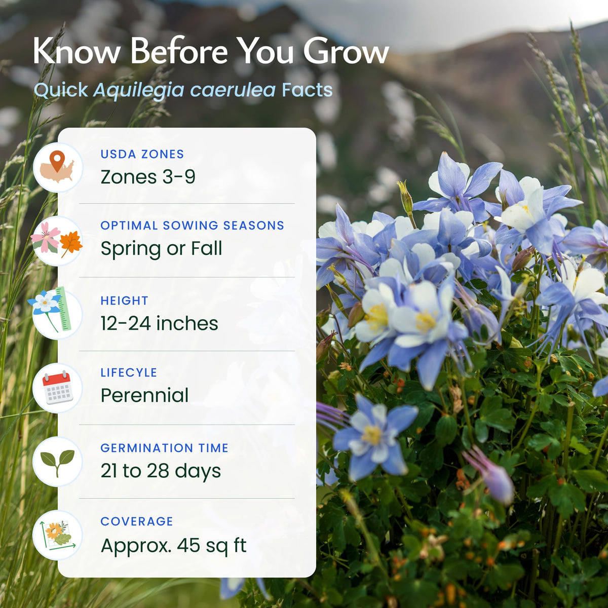 Created By Nature blue columbine colorado-state-flower context promotes local garden pride