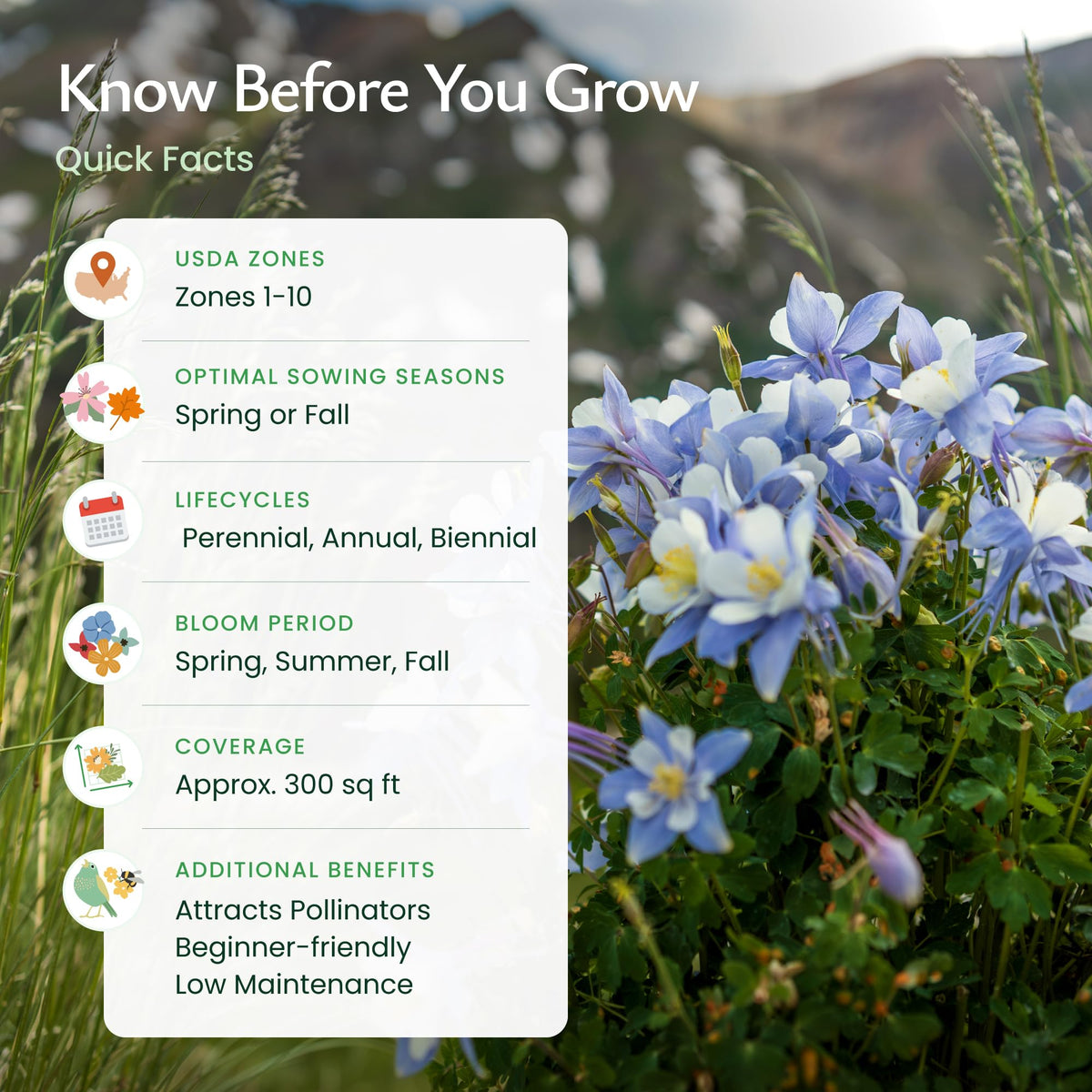 Created By Nature Colorado wildflower mix prairie coneflower enhances seasonal color.