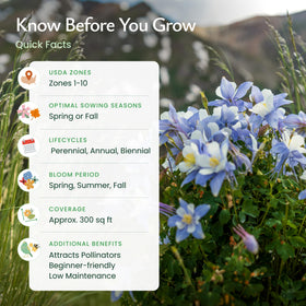 Created By Nature Colorado wildflower mix prairie coneflower enhances seasonal color.