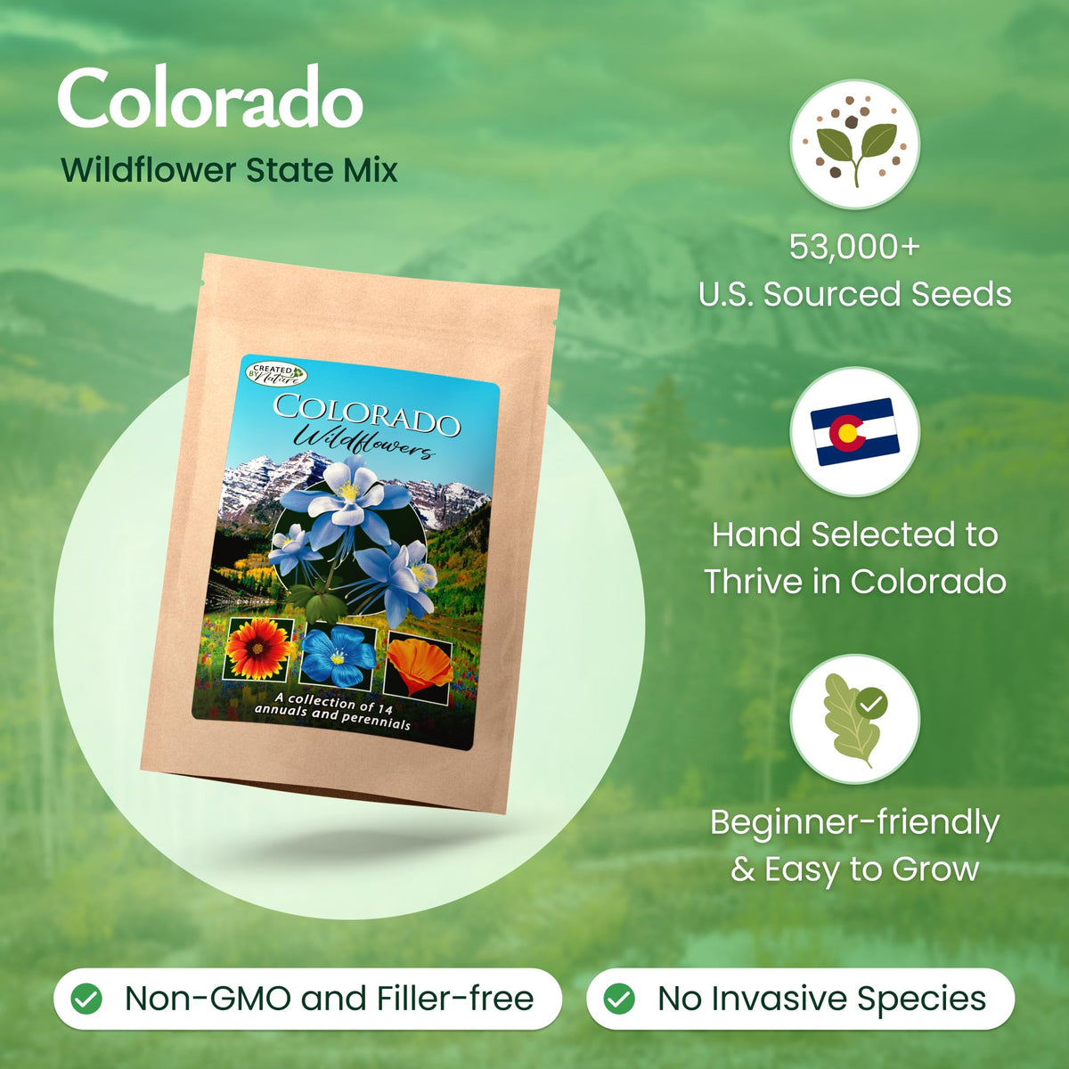 Created By Nature Colorado wildflower mix shasta daisy adds bright color.