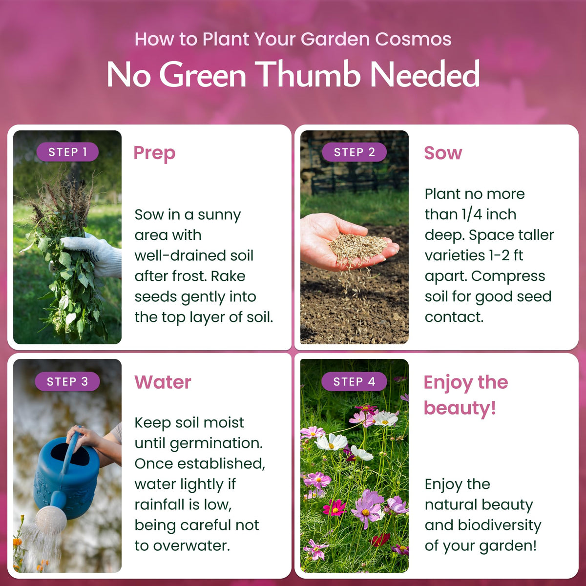 Created By Nature Cosmos Sensation Mix bed-border color idea for easy garden color