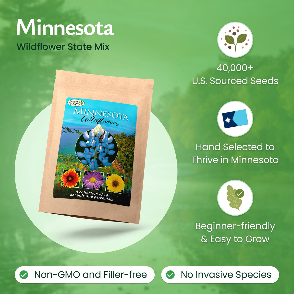 Created By Nature Minnesota Wildflower Seed Mix showcases 16 varieties for a vibrant, biodiverse garden.