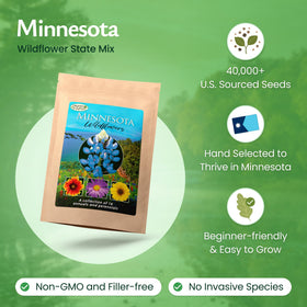 Created By Nature Minnesota Wildflower Seed Mix showcases 16 varieties for a vibrant, biodiverse garden.