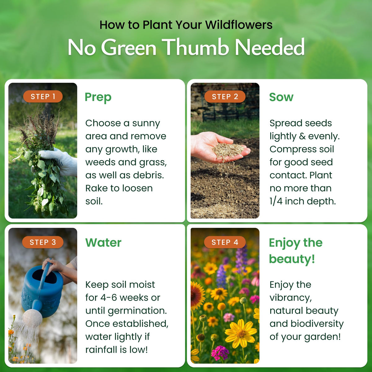 Created By Nature Minnesota wildflowers blooming in a garden bed offer color throughout seasons.