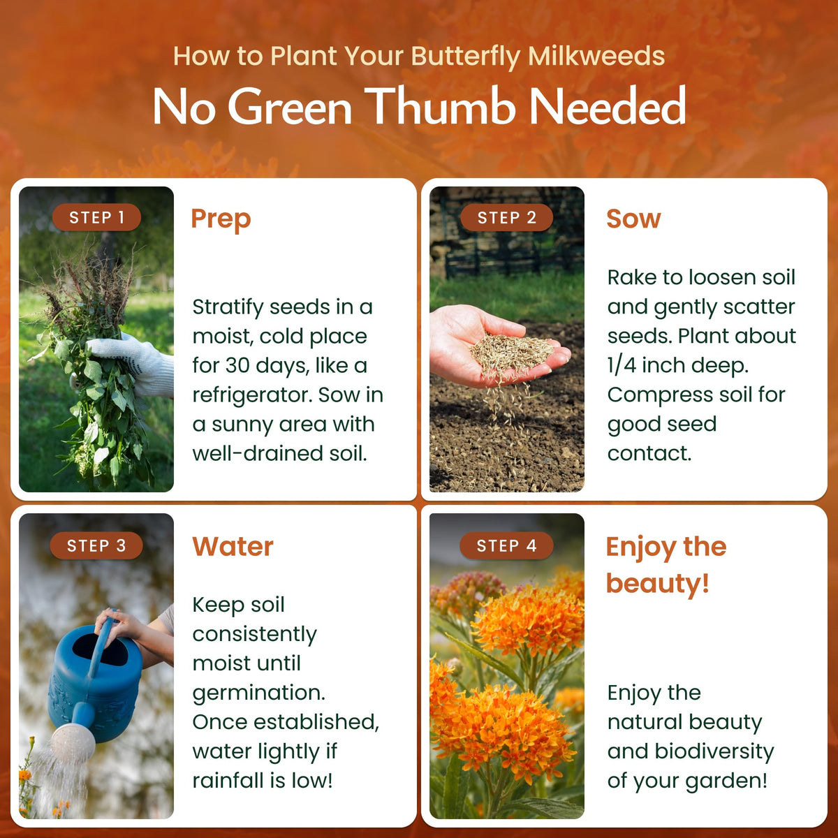 Created By Nature monarch-friendly garden with vibrant orange blooms attracting pollinators