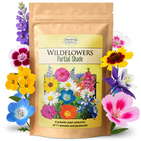 Created By Nature partial shade wildflower seed mix pack ready for shady borders to attract pollinators