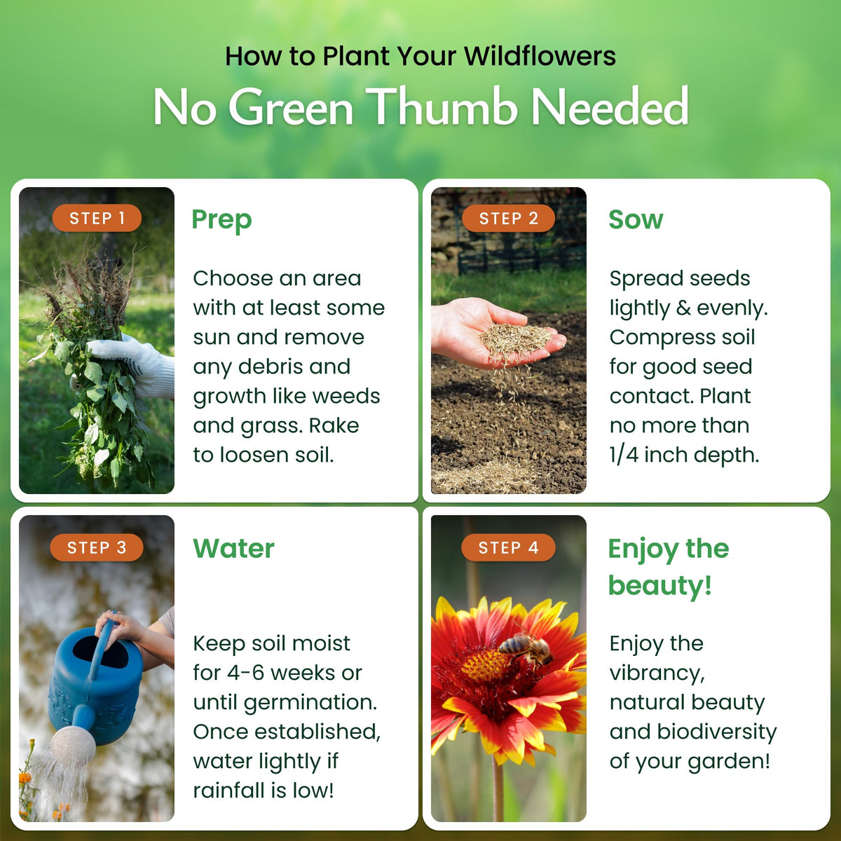 Created By Nature pollinator-friendly bloom attracting butterflies and hummingbirds