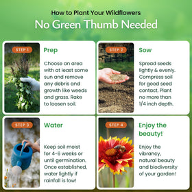 Created By Nature pollinator-friendly bloom attracting butterflies and hummingbirds