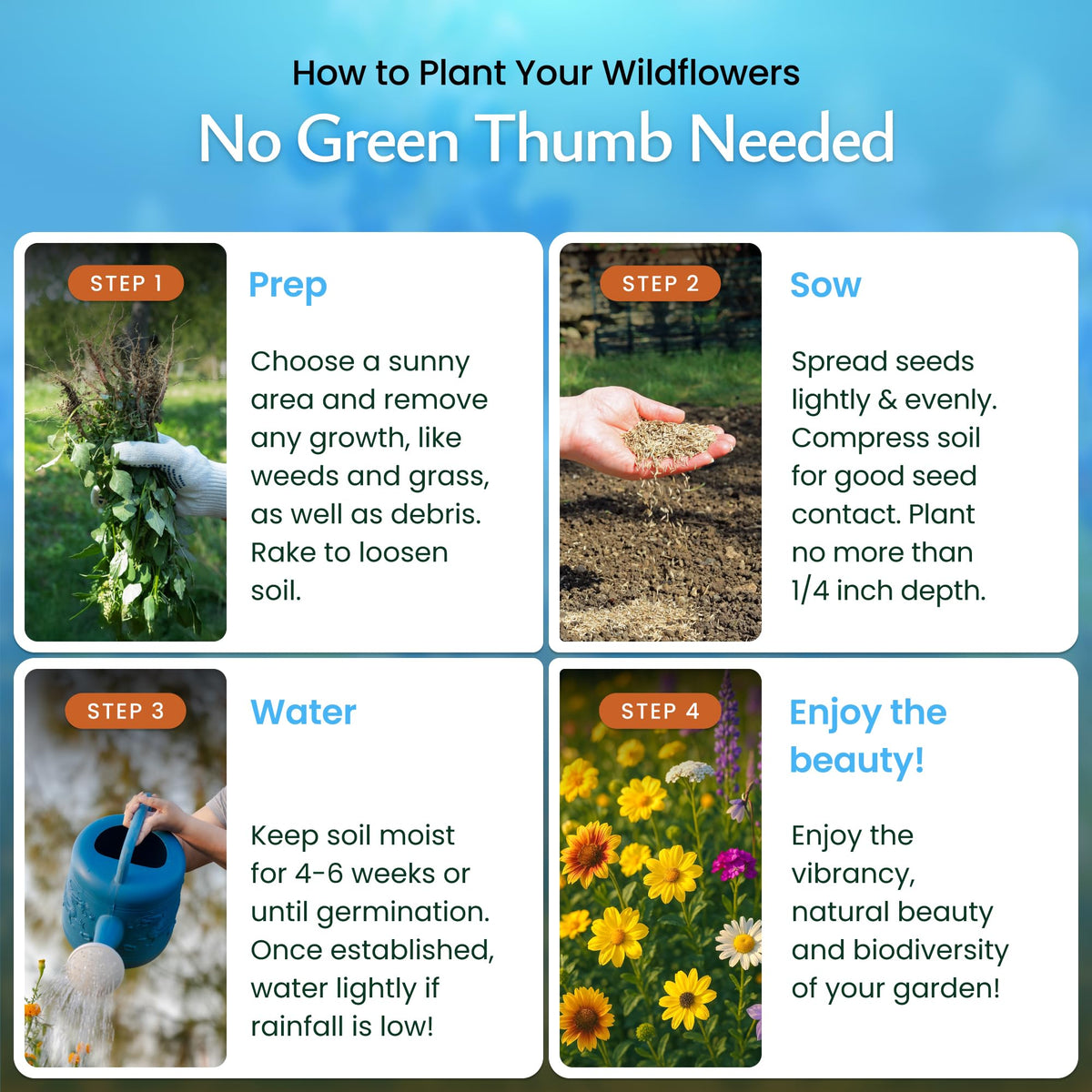 Created By Nature pollinator-friendly seeds attract bees and butterflies