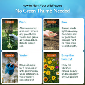 Created By Nature pollinator-friendly seeds attract bees and butterflies