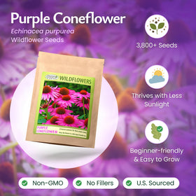 Created By Nature purple coneflower seeds germinating in ideal soil conditions.