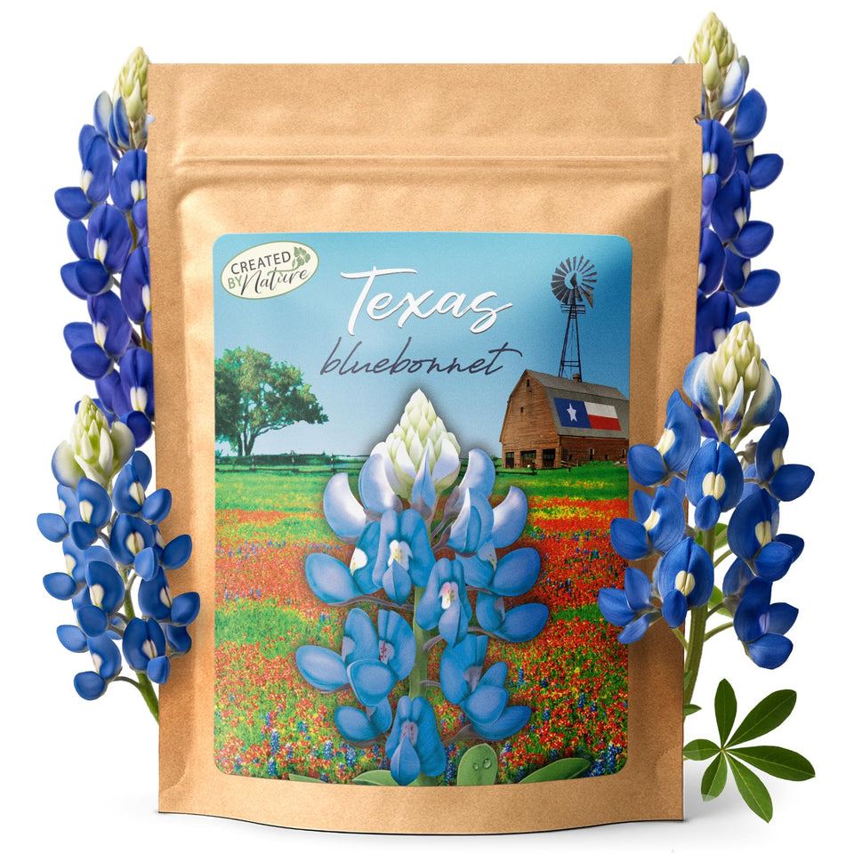 Created By Nature Texas bluebonnet seeds packaging highlights premium, non-GMO seeds for vibrant Texas wildflowers.