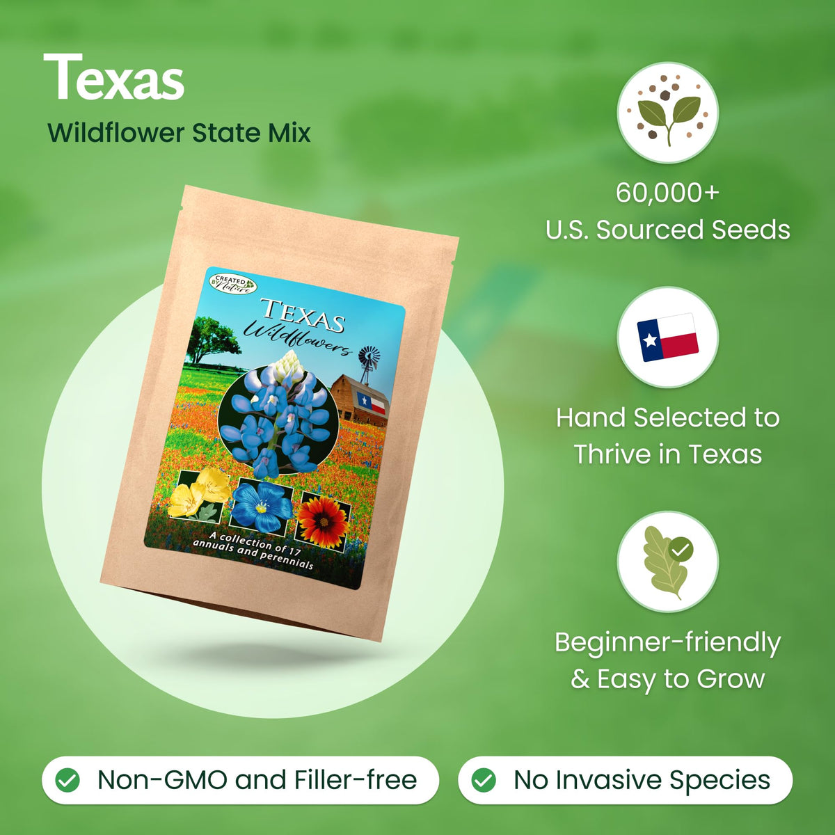 Created By Nature seeds in hand ready to plant for quick spring color
