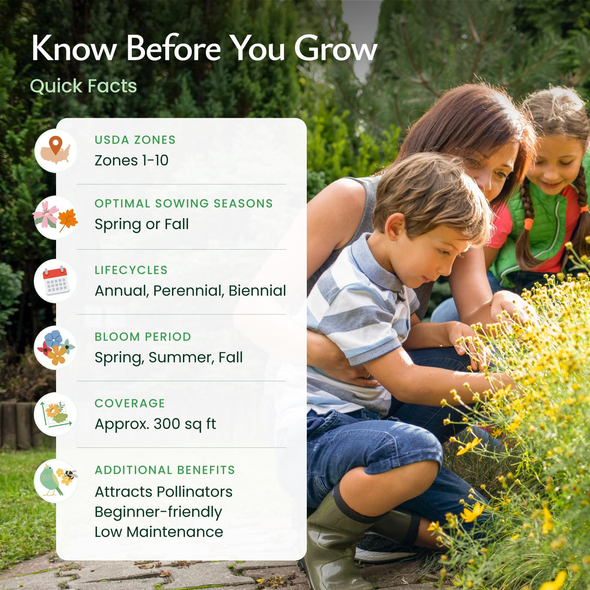Bees and butterflies visit wildflowers supported by the mix