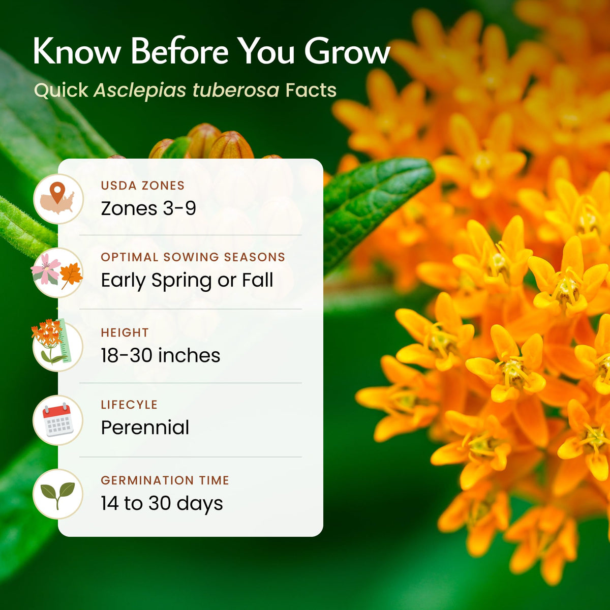Created By Nature US-grown seeds packaging for butterfly milkweed
