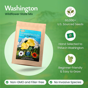 Created By Nature Washington wildflower black-eyed-susan-seed for sunny, long-lasting garden color
