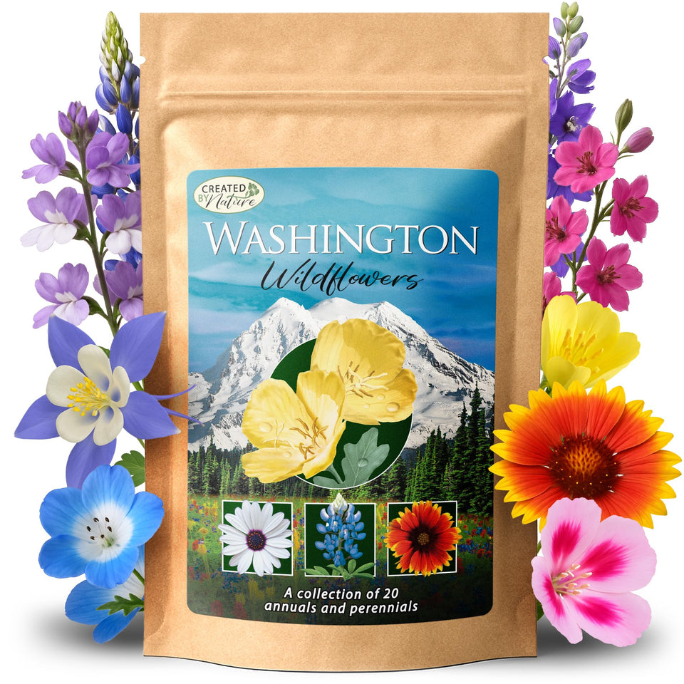Created By Nature Washington wildflower blue-flax seed for spring color and pollinator-friendly beds