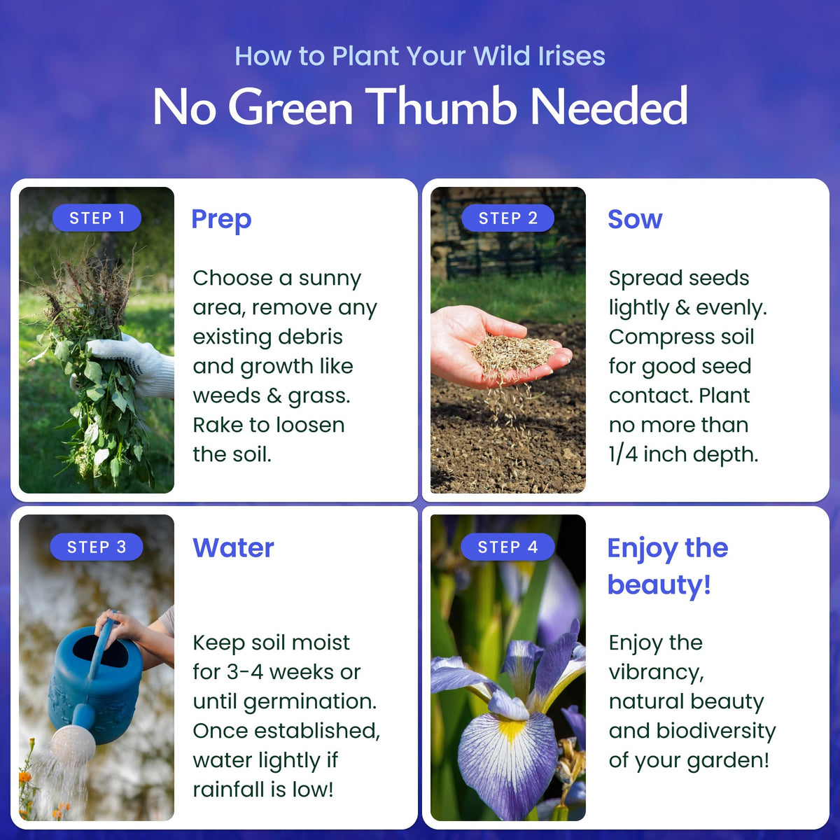 Created By Nature Wild Iris blooms attracting pollinators in gardens