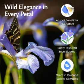 Created By Nature Wild Iris seeds germinating into vibrant plants