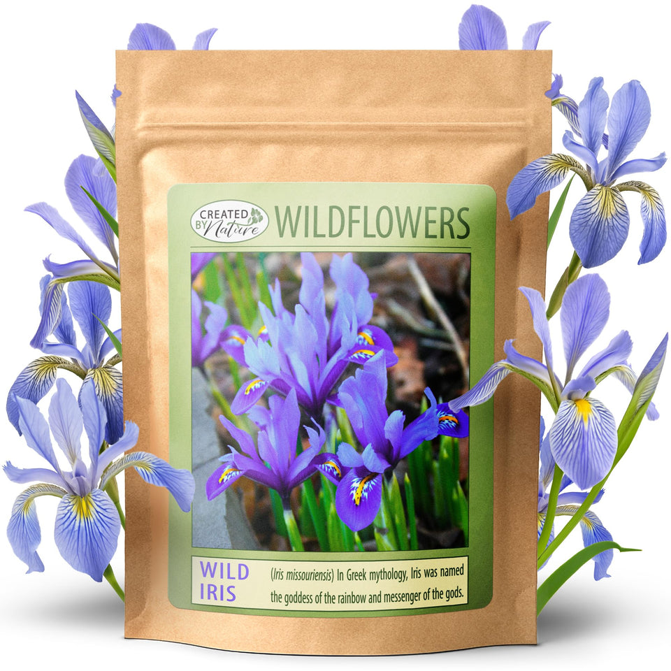 Created By Nature Wild Iris seed packet for easy pollinator gardens