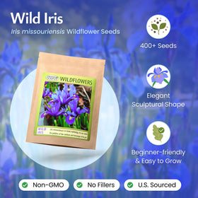Created By Nature Wild Iris seeds sown in garden bed for color