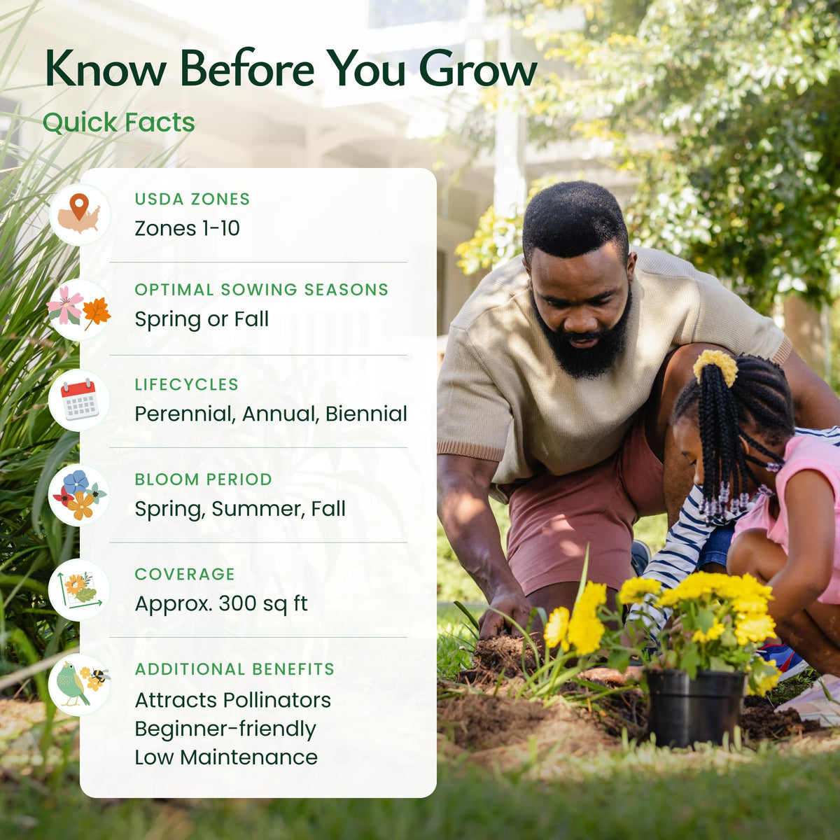 Created By Nature wildflower pollinator-seed-mix for bees, butterflies, and hummingbirds