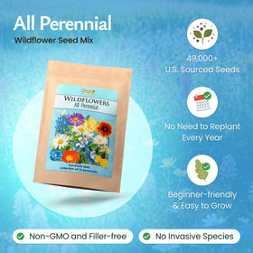 Created By Nature wildflower seed mix in soil shows easy sowing