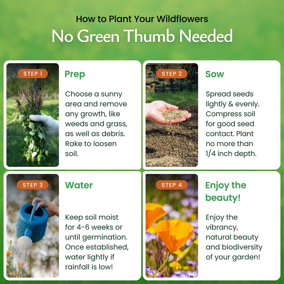 Created By Nature Wildflower seeds for borders and meadows with easy growth.
