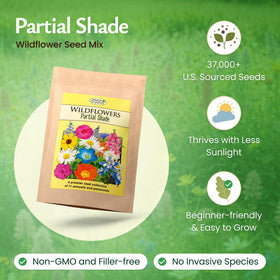 Created By Nature wildflowers bloom close-up highlighting vibrant petals and bee-friendly variety