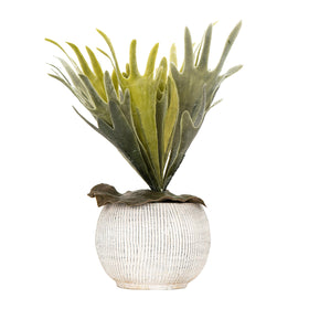 Creative Co-Op 4.75-inch planter fits compact spaces with easy wipe-clean care.