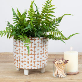 Creative Co-Op footed planter with 8 inch diameter for stylish display