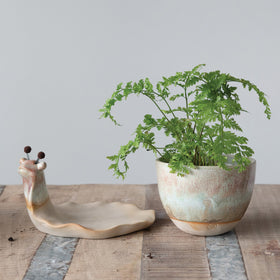 Creative Co-Op snail planter set-2-packaging highlights value and easy styling