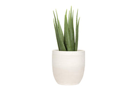 Creative Co-Op white stoneware planter, 12-inch diameter, ready for versatile indoor styling.
