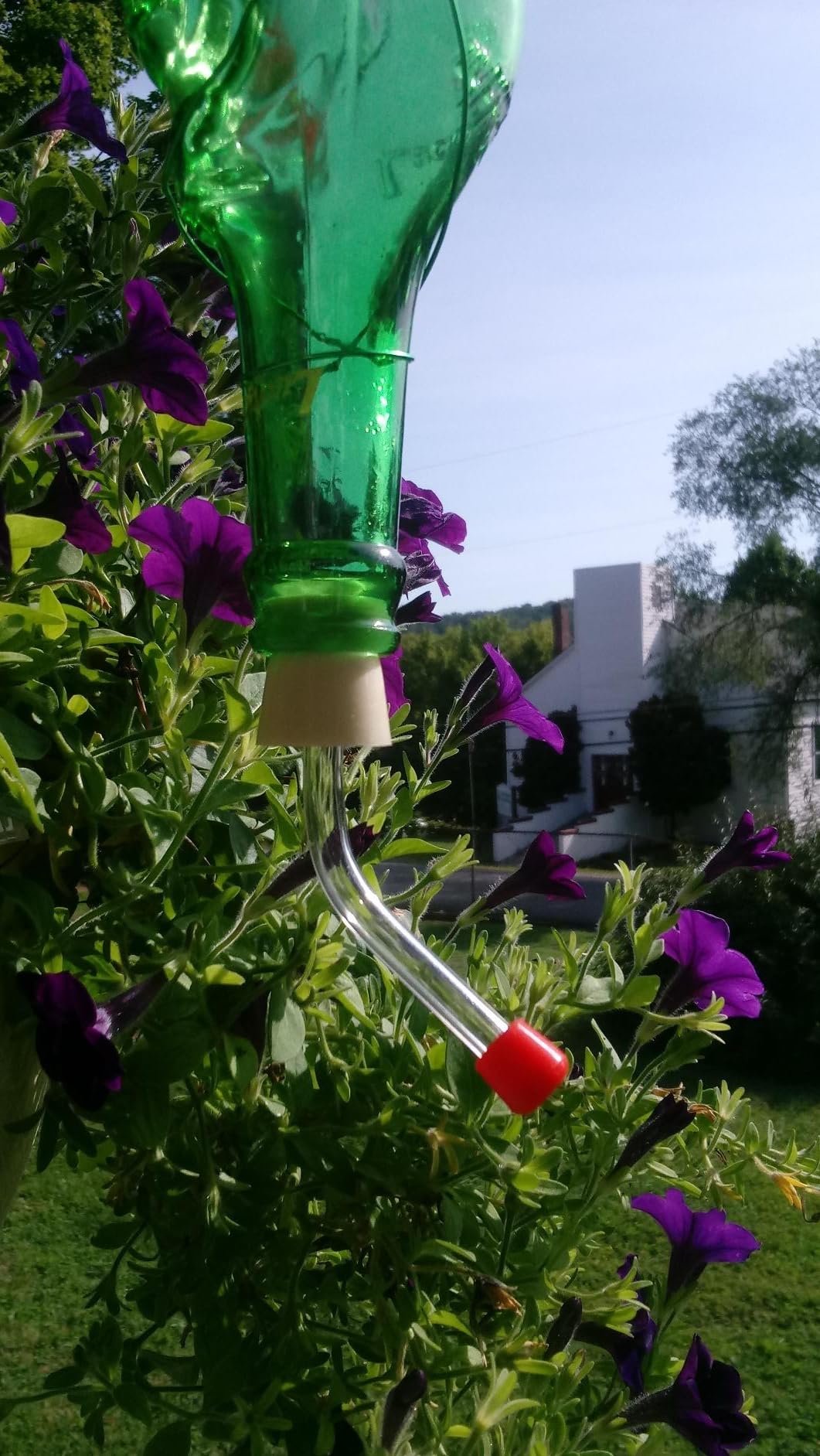 Creative Hobbies hummingbird feeder tube bottom diameter 5-8in compatible design.