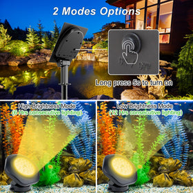 CREPOW lights automatically charge by day and light at night for effortless ambiance.
