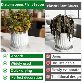 Creproly white round plant saucer on a shelf blending with decor