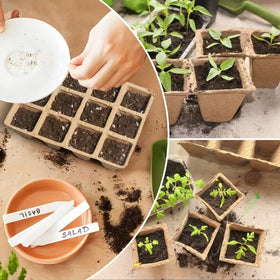 CRNHIGY biodegradable peat pots planted directly for soil health