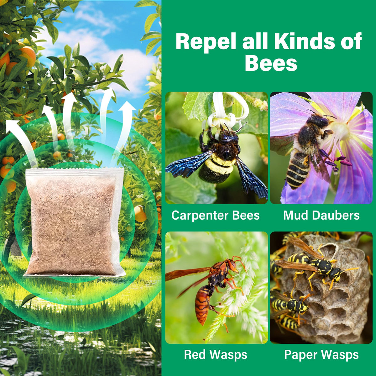 Hanging repellent bags in garden to deter hornets and yellow jackets.