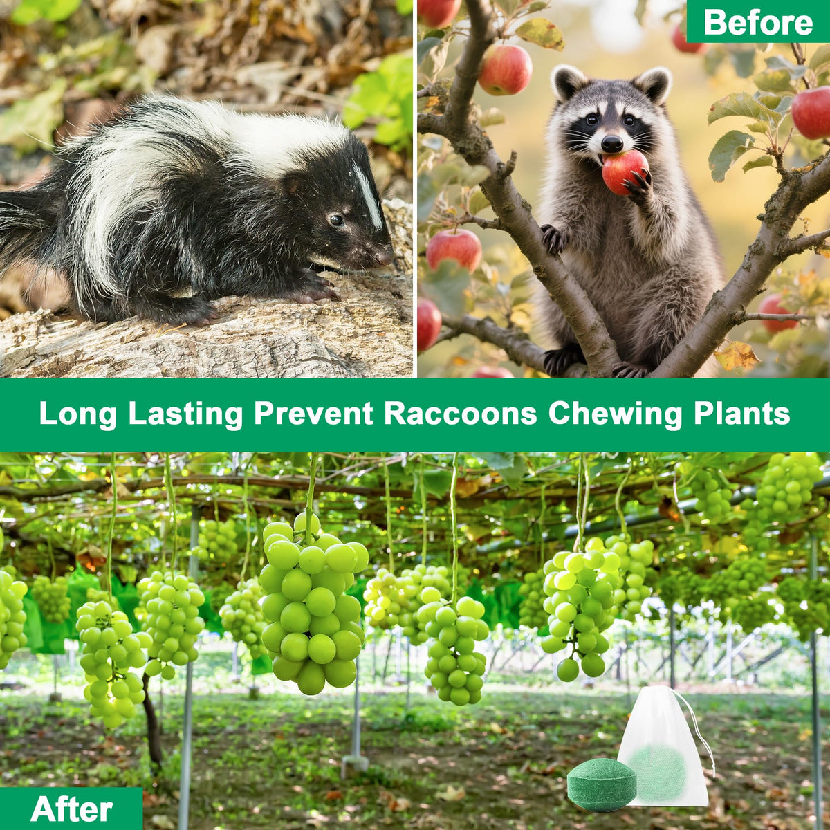 Crobirware hanging raccoon deterrent balls protect attic and garage spaces.