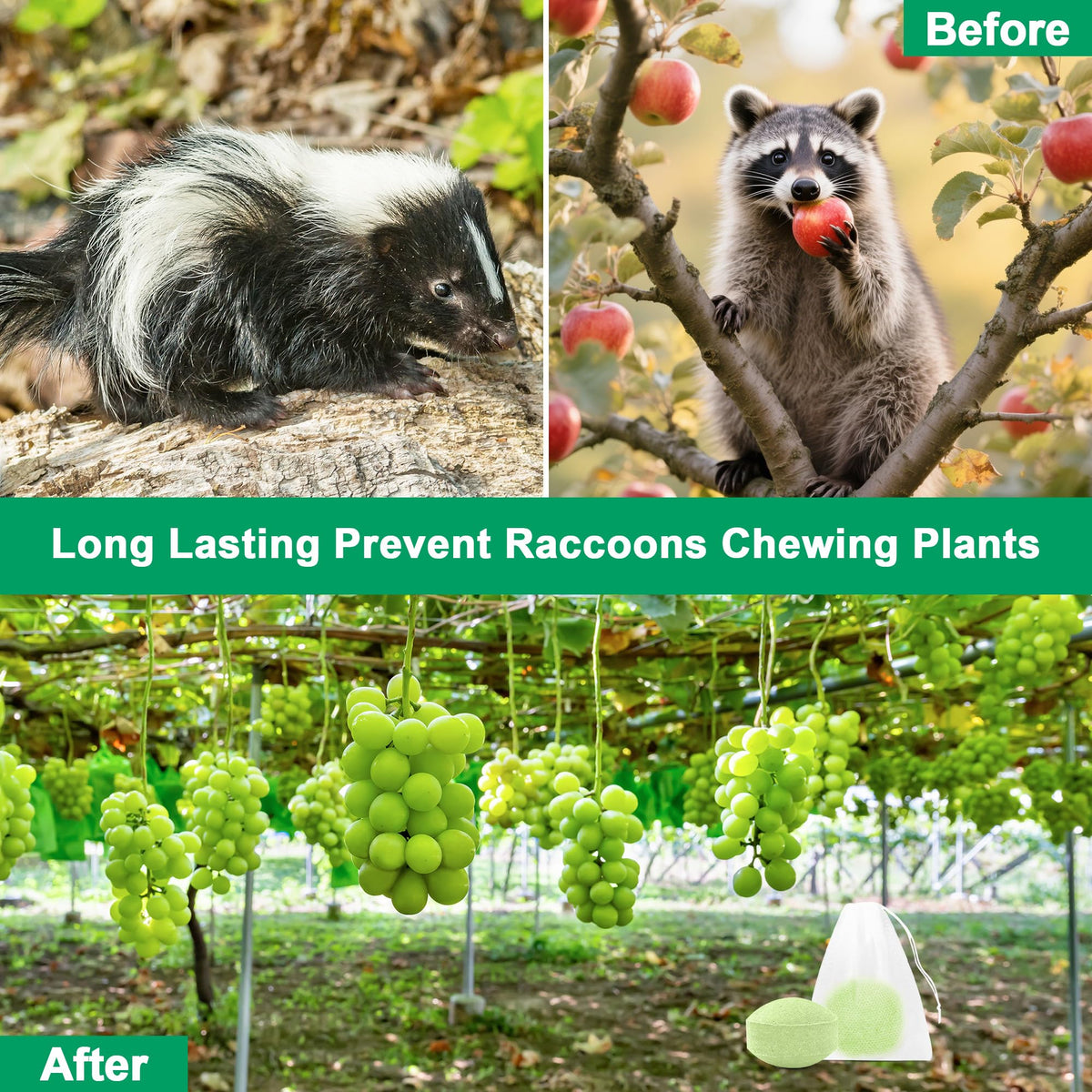 Crobirware hanging raccoon repellent bag deters wildlife at entry points.